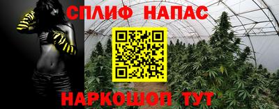 дмт Кандалакша