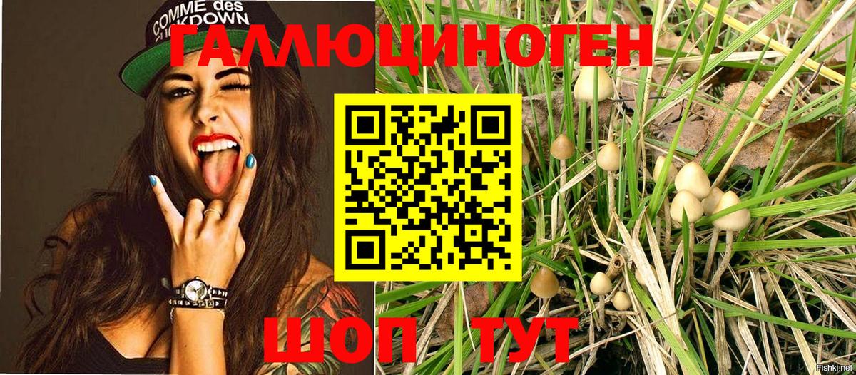 Псилоцибиновые грибы MAGIC MUSHROOMS Урай